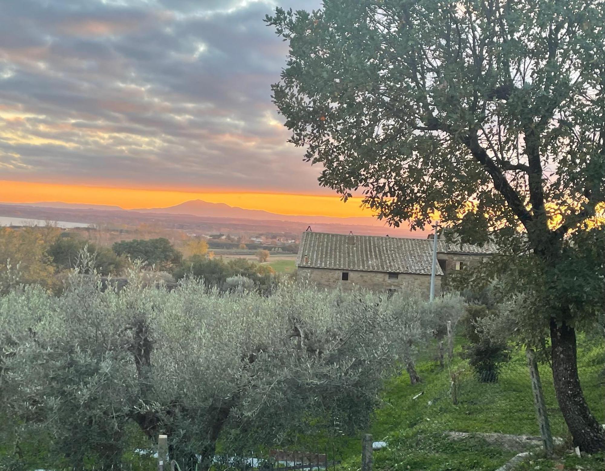 Private Stone Cottage With Starlink & Lake View Tuoro sul Trasimeno Ngoại thất bức ảnh